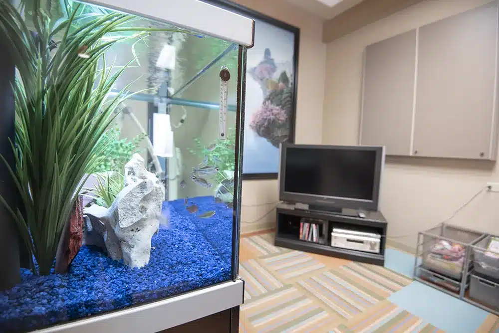 Picture of a fish tank in our dental office.